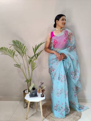 Light Sky Colour Net Embroidery Saree 3