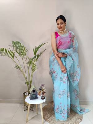 Light Sky Colour Net Embroidery Saree 4