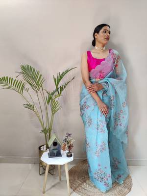 Light Sky Colour Net Embroidery Saree 5