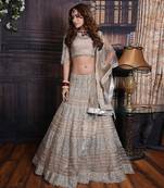 Mega Greige Shimmer Lehenga Set