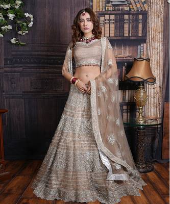 Mega Greige Shimmer Lehenga Set 2