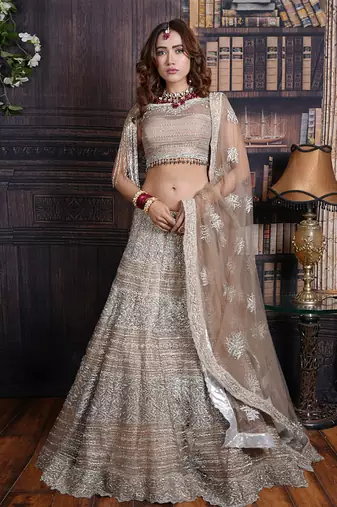 Mega Greige Shimmer Lehenga Set