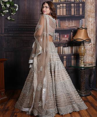Mega Greige Shimmer Lehenga Set 3