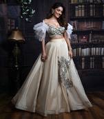Beige  Subtle Lehenga Set