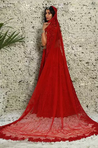 Red Elegant Lehenga Set