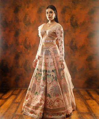 Pink Paradise Lehenga Set 3