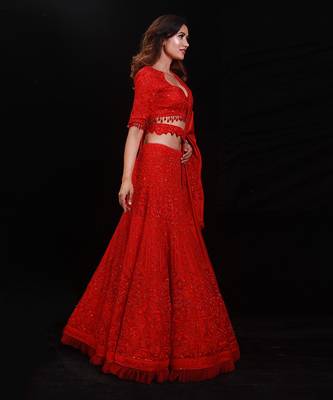 Red Organza Embroidered Lehenga Choli 3
