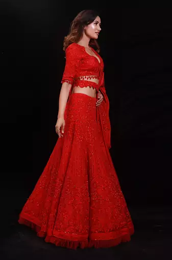 Red Organza Embroidered Lehenga Choli