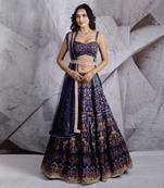 Blue Paradise Lehenga Set