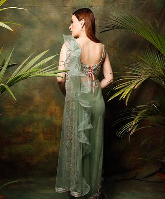 Pista Green Celadon Saree 3