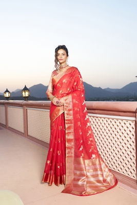 Banarasi Cotton Silk Red Saree with Kite Design & Woven Border 1