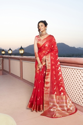 Banarasi Cotton Silk Red Saree with Kite Design & Woven Border 2