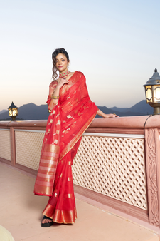 Banarasi Cotton Silk Red Saree with Kite Design & Woven Border