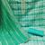 Green Printed Chanderi Salwar