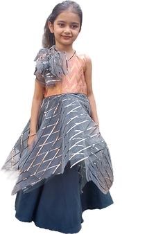 Aglare Gown with Beautiful Sequence Work for small  Girl .Maroon Grey peach