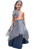 Aglare Gown with Beautiful Sequence Work for small  Girl .Maroon Grey peach