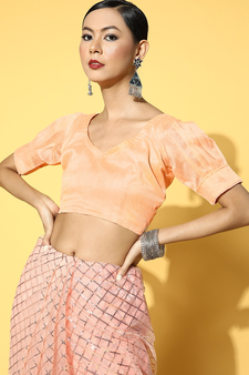 Peach embroidered net saree with blouse