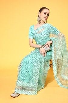 Light green embroidered net saree with blouse