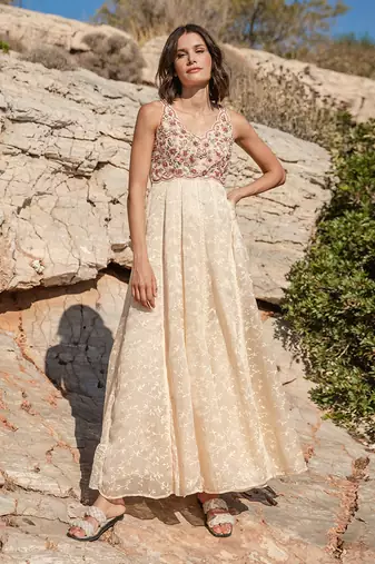 Beige Organza  Printed Maxi Dress