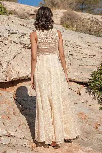 Beige Organza  Printed Maxi Dress