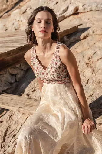 Beige Organza  Printed Maxi Dress
