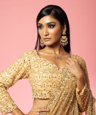 Golden Hand Embroidered Saree Set 2