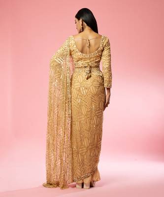 Golden Hand Embroidered Saree Set 4