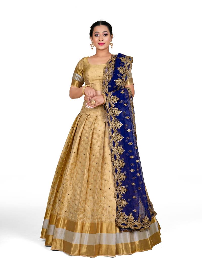 Blue Embellished Banarasi Chinon Saree With Unstitched Blouse Piece