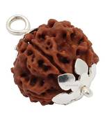Aurra Stores 5 mukhi / 5 Face Rudraksha Pendant Jgl Certified