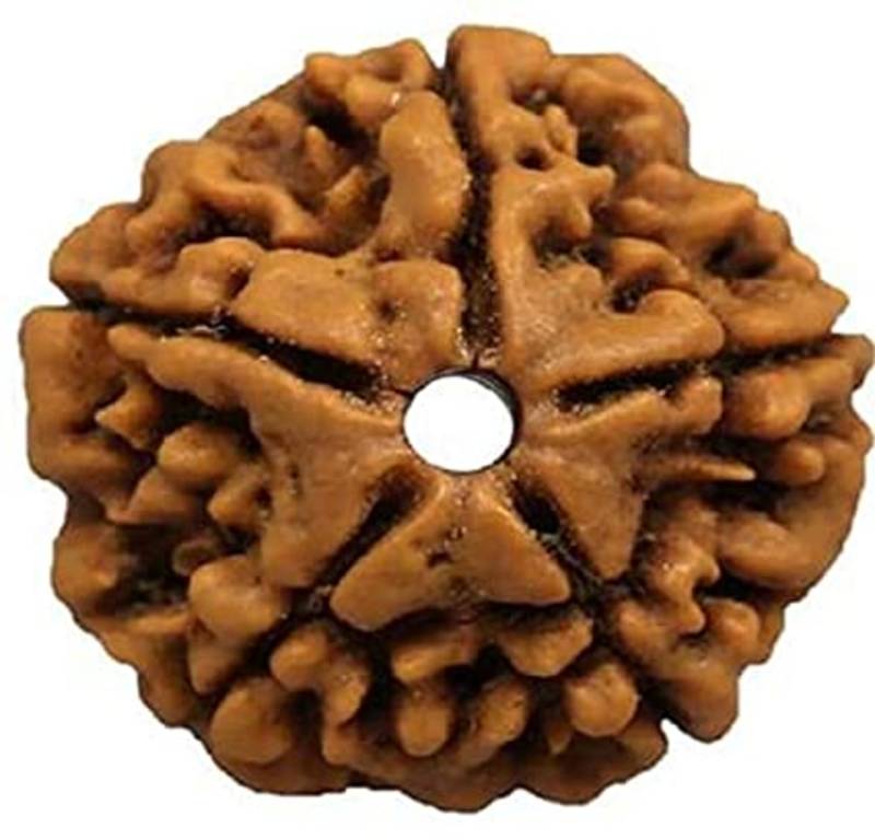 Aurra Stores 5 mukhi / 5 Face Rudraksha Pendant Jgl Certified