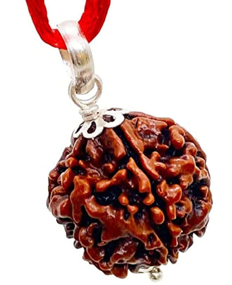 Aurra Stores 5 mukhi / five Face Rudraksha Pendant Jgl Certified