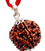 Aurra Stores 5 mukhi / five Face Rudraksha Pendant Jgl Certified