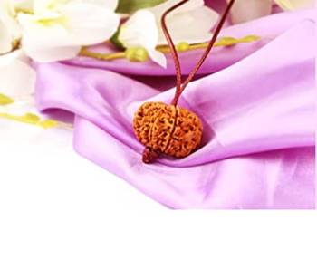 Aurra Stores 10 mukhi / 10 Face Rudraksha Pendant Jgl Certified 1
