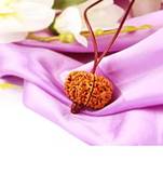Aurra Stores 10 mukhi / 10 Face Rudraksha Pendant Jgl Certified