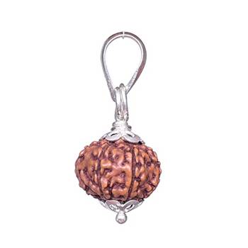 Aurra Stores 10 mukhi / 10 Face Rudraksha Pendant Jgl Certified 2