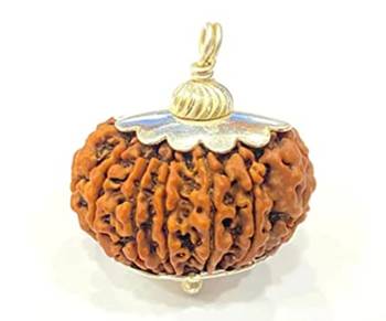 Aurra Stores 12 mukhi / 12 Face Rudraksha Pendant Jgl Certified 1