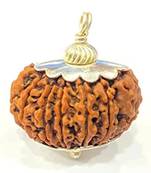 Aurra Stores 12 mukhi / 12 Face Rudraksha Pendant Jgl Certified