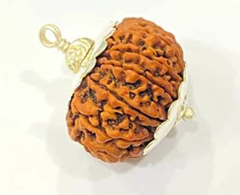 Aurra Stores 12 mukhi / 12 Face Rudraksha Pendant Jgl Certified 2