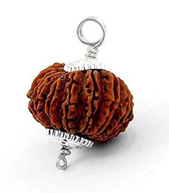Aurra Stores 13 mukhi / 13 Face Rudraksha Pendant Jgl Certified 1