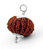 Aurra Stores 13 mukhi / 13 Face Rudraksha Pendant Jgl Certified