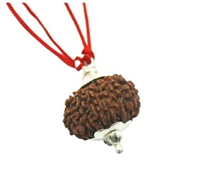 Aurra Stores 14 mukhi / 14 Face Rudraksha Pendant Jgl Certified