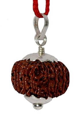 Aurra Stores 14 mukhi / 14 Face Rudraksha Pendant Jgl Certified 1