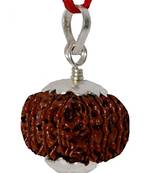 Aurra Stores 14 mukhi / 14 Face Rudraksha Pendant Jgl Certified