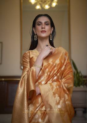 Orange Keesha Organza Designer Handloom Saree Collection 1