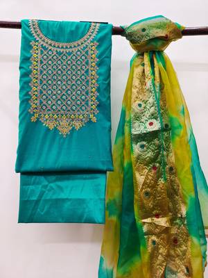Sky-Blue Embroidered Chanderi Salwar 3