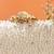 White Perla Capsule Clutch