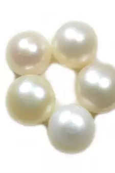 Natural Fresh Water Pearl at Wholesale Rate 5.25 Ratti 4.77 Carat Round Shape मोती Loose Gemstone Rashi Ratan 1 Pcs