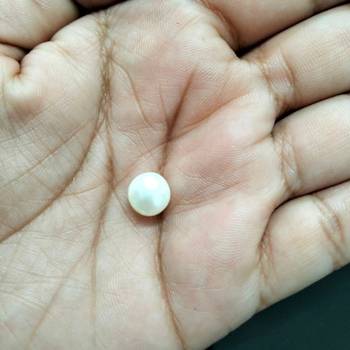 Natural Fresh Water Pearl at Wholesale Rate 7.25 Ratti 6.89 Carat Round Shape मोती Loose Gemstone Rashi Ratan 1 Pcs 4