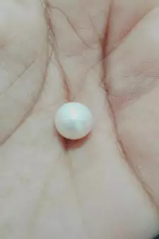 Natural South Sea Pearl at Wholesale Rate 3.25 Ratti 2.95 Carat Round Shape मोती Loose Gemstone Astrology Purpose 1 Pcs