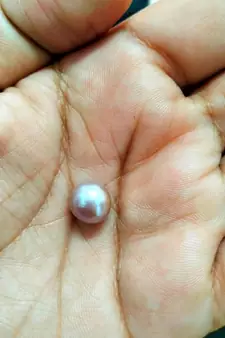 Natural Pink Pearl at Wholesale Rate 6.25 Ratti 5.68 Carat Round Shape मोती Loose Gemstone Astrologers Jewellers 1 Pcs